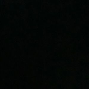 Meet your Posher, Teddy